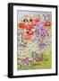 Wild Flower Conservation; Garden Border-Joan Thewsey-Framed Giclee Print