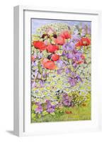 Wild Flower Conservation; Garden Border-Joan Thewsey-Framed Giclee Print