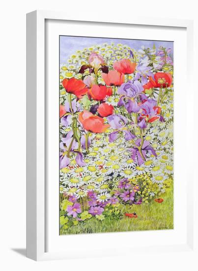 Wild Flower Conservation; Garden Border-Joan Thewsey-Framed Giclee Print