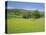 Wild Flower Meadow, Swaledale, Yorkshire Dales National Park, North Yorkshire, England, UK, Europe-Jonathan Hodson-Stretched Canvas