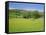 Wild Flower Meadow, Swaledale, Yorkshire Dales National Park, North Yorkshire, England, UK, Europe-Jonathan Hodson-Framed Stretched Canvas