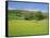 Wild Flower Meadow, Swaledale, Yorkshire Dales National Park, North Yorkshire, England, UK, Europe-Jonathan Hodson-Framed Stretched Canvas