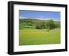 Wild Flower Meadow, Swaledale, Yorkshire Dales National Park, North Yorkshire, England, UK, Europe-Jonathan Hodson-Framed Photographic Print