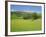 Wild Flower Meadow, Swaledale, Yorkshire Dales National Park, North Yorkshire, England, UK, Europe-Jonathan Hodson-Framed Photographic Print