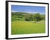 Wild Flower Meadow, Swaledale, Yorkshire Dales National Park, North Yorkshire, England, UK, Europe-Jonathan Hodson-Framed Photographic Print