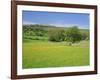 Wild Flower Meadow, Swaledale, Yorkshire Dales National Park, North Yorkshire, England, UK, Europe-Jonathan Hodson-Framed Photographic Print