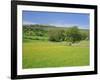 Wild Flower Meadow, Swaledale, Yorkshire Dales National Park, North Yorkshire, England, UK, Europe-Jonathan Hodson-Framed Photographic Print