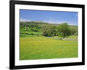 Wild Flower Meadow, Swaledale, Yorkshire Dales National Park, North Yorkshire, England, UK, Europe-Jonathan Hodson-Framed Photographic Print