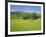 Wild Flower Meadow, Swaledale, Yorkshire Dales National Park, North Yorkshire, England, UK, Europe-Jonathan Hodson-Framed Photographic Print