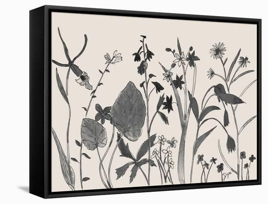 Wild Flower Parade-Beverly Dyer-Framed Stretched Canvas