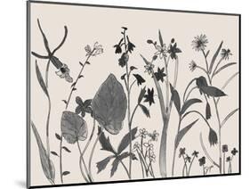 Wild Flower Parade-Beverly Dyer-Mounted Art Print