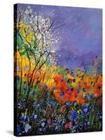 Wild Flowers 454120-Pol Ledent-Stretched Canvas