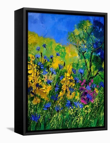 Wild Flowers 454170-Pol Ledent-Framed Stretched Canvas