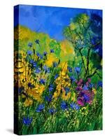 Wild Flowers 454170-Pol Ledent-Stretched Canvas