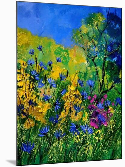 Wild Flowers 454170-Pol Ledent-Mounted Art Print