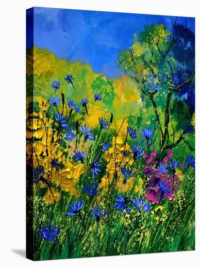 Wild Flowers 454170-Pol Ledent-Stretched Canvas