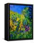 Wild Flowers 454170-Pol Ledent-Framed Stretched Canvas