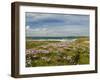 Wild Flowers and Coastline, Isle of Lewis, Outer Hebrides, Sotland, United Kingdom, Europe-John Woodworth-Framed Photographic Print