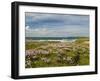 Wild Flowers and Coastline, Isle of Lewis, Outer Hebrides, Sotland, United Kingdom, Europe-John Woodworth-Framed Photographic Print