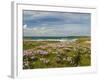 Wild Flowers and Coastline, Isle of Lewis, Outer Hebrides, Sotland, United Kingdom, Europe-John Woodworth-Framed Photographic Print