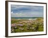 Wild Flowers and Coastline, Isle of Lewis, Outer Hebrides, Sotland, United Kingdom, Europe-John Woodworth-Framed Photographic Print