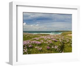 Wild Flowers and Coastline, Isle of Lewis, Outer Hebrides, Sotland, United Kingdom, Europe-John Woodworth-Framed Photographic Print