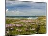 Wild Flowers and Coastline, Isle of Lewis, Outer Hebrides, Sotland, United Kingdom, Europe-John Woodworth-Mounted Photographic Print