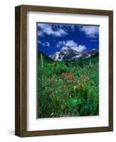 Wild Flowers and Mountain Maroon Bell, CO-David Carriere-Framed Photographic Print