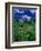 Wild Flowers and Mountain Maroon Bell, CO-David Carriere-Framed Photographic Print