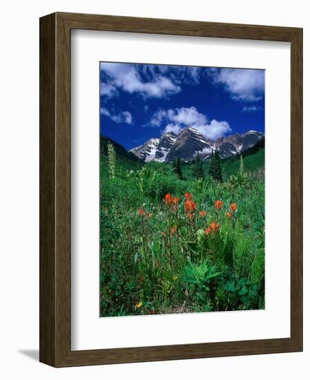 Wild Flowers and Mountain Maroon Bell, CO-David Carriere-Framed Photographic Print