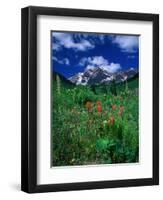 Wild Flowers and Mountain Maroon Bell, CO-David Carriere-Framed Photographic Print