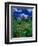 Wild Flowers and Mountain Maroon Bell, CO-David Carriere-Framed Photographic Print