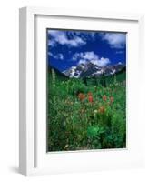 Wild Flowers and Mountain Maroon Bell, CO-David Carriere-Framed Photographic Print