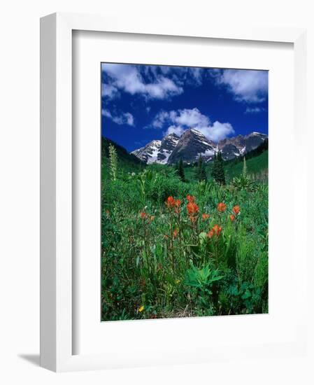 Wild Flowers and Mountain Maroon Bell, CO-David Carriere-Framed Photographic Print