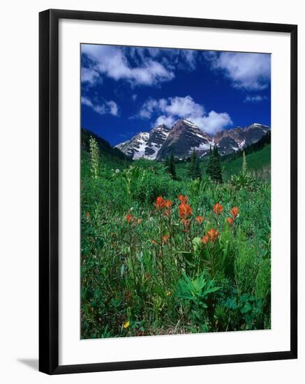 Wild Flowers and Mountain Maroon Bell, CO-David Carriere-Framed Photographic Print