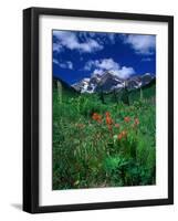 Wild Flowers and Mountain Maroon Bell, CO-David Carriere-Framed Photographic Print