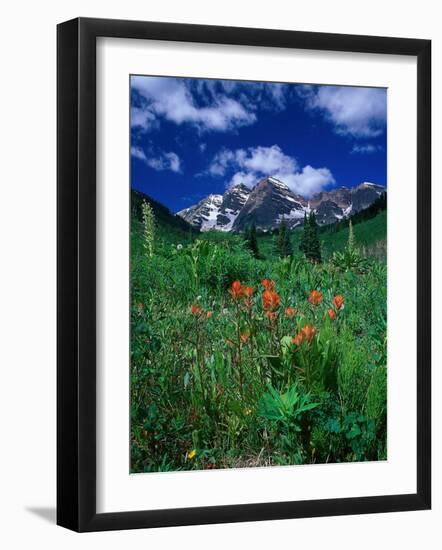 Wild Flowers and Mountain Maroon Bell, CO-David Carriere-Framed Photographic Print