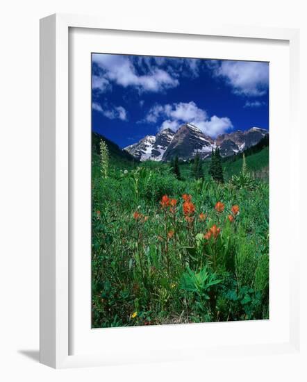 Wild Flowers and Mountain Maroon Bell, CO-David Carriere-Framed Photographic Print