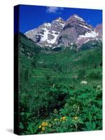 Wild Flowers and Mountain Maroon Bells, CO-David Carriere-Stretched Canvas