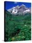 Wild Flowers and Mountain Maroon Bells, CO-David Carriere-Stretched Canvas