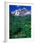 Wild Flowers and Mountain Maroon Bells, CO-David Carriere-Framed Photographic Print