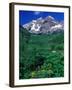 Wild Flowers and Mountain Maroon Bells, CO-David Carriere-Framed Photographic Print