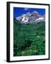 Wild Flowers and Mountain Maroon Bells, CO-David Carriere-Framed Photographic Print