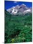 Wild Flowers and Mountain Maroon Bells, CO-David Carriere-Mounted Photographic Print