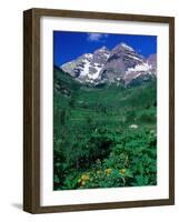 Wild Flowers and Mountain Maroon Bells, CO-David Carriere-Framed Photographic Print