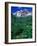 Wild Flowers and Mountain Maroon Bells, CO-David Carriere-Framed Photographic Print