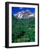 Wild Flowers and Mountain Maroon Bells, CO-David Carriere-Framed Photographic Print