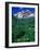 Wild Flowers and Mountain Maroon Bells, CO-David Carriere-Framed Photographic Print