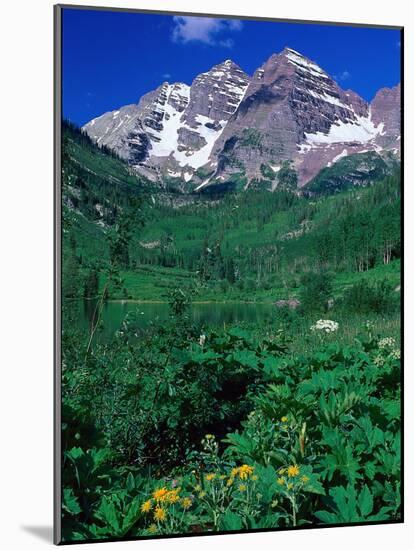 Wild Flowers and Mountain Maroon Bells, CO-David Carriere-Mounted Photographic Print