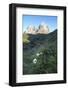 Wild Flowers and the Dramatic Sassolungo Mountains in the Dolomites Near Canazei-Martin Child-Framed Photographic Print